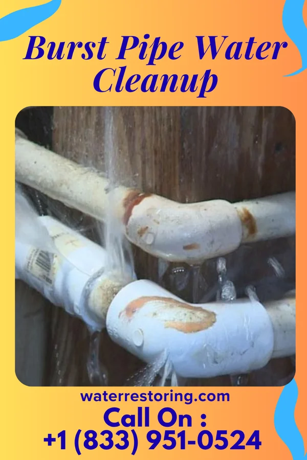 Burst Pipe Water Cleanup in Iona, ID