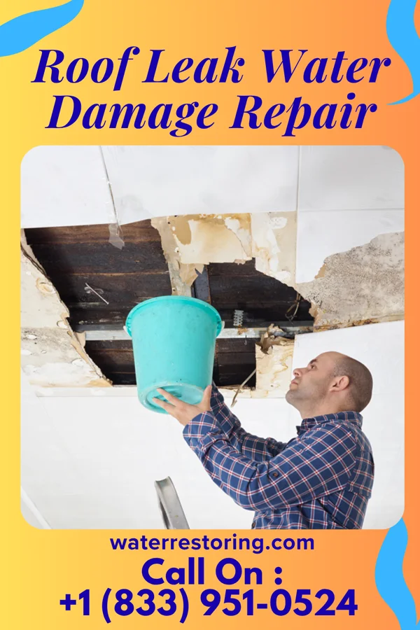 Roof Leak Water Damage Repair in Iona, ID